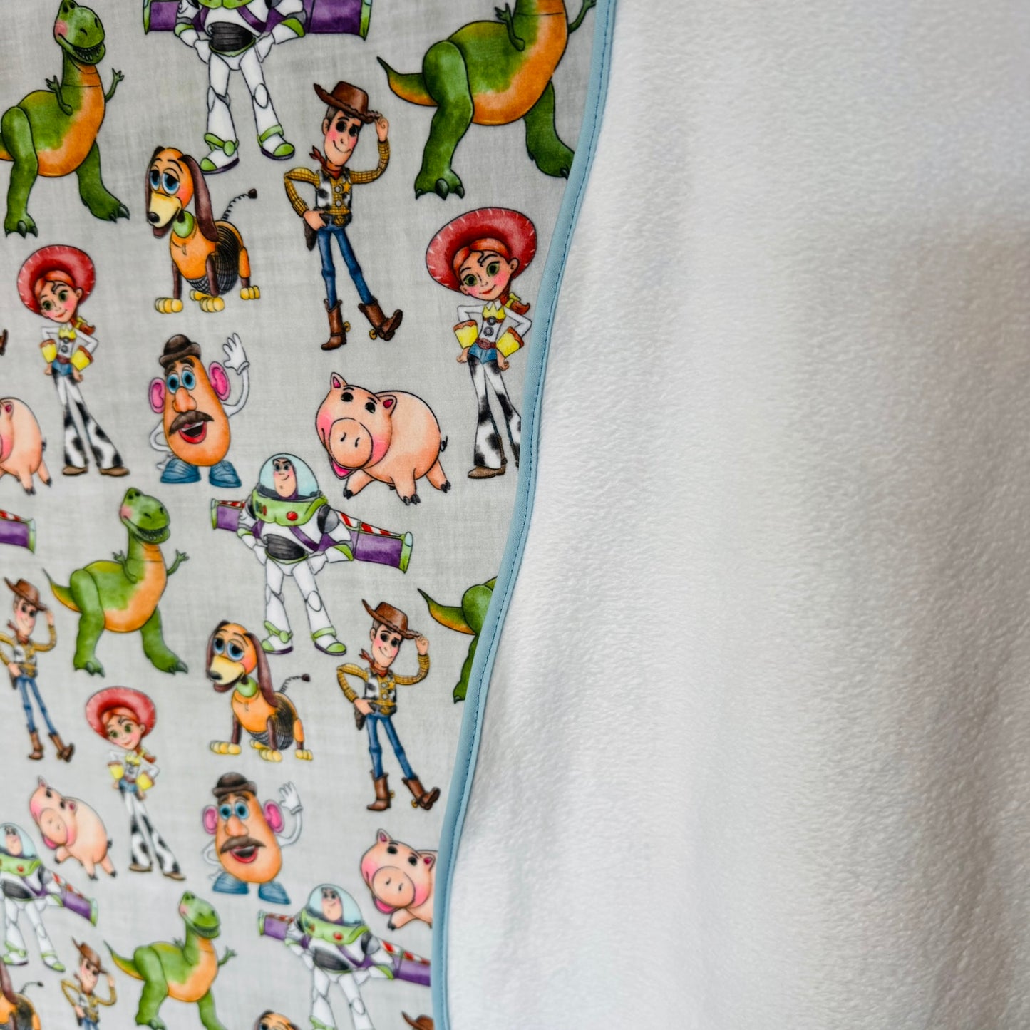 Double Sided Minky Blanket - Friend in Me
